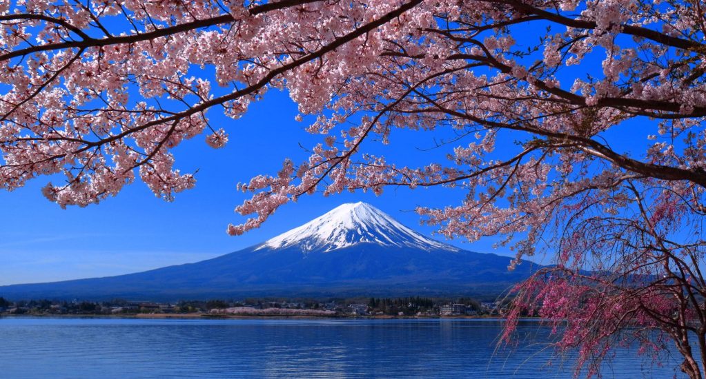 tqjk_1R-EjXgc8h5E_0zfp1HPmp-76jBgY1lLulKl0rWqtlXFTkulpNOnde6fpg2bIGDbaMj2AAPzzQQqYkJP2sVTq7PoQ254YgyeX7BXdQ